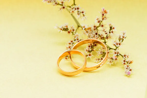 Gold wedding rings and branch flowers — Stock Photo, Image