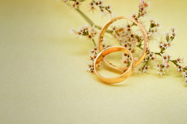 Gold wedding rings and branch flowers — Stock Photo, Image