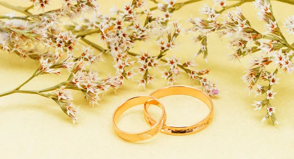 Gold wedding rings and branch flowers — Stock Photo, Image