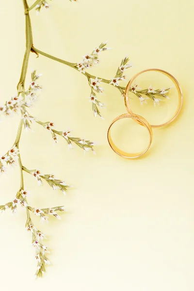 Gold wedding rings and branch flowers — Stock Photo, Image