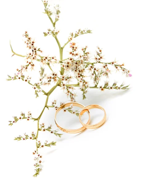 Anillos de boda de oro y flores de rama —  Fotos de Stock