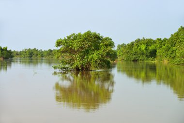 tropikal Nehri