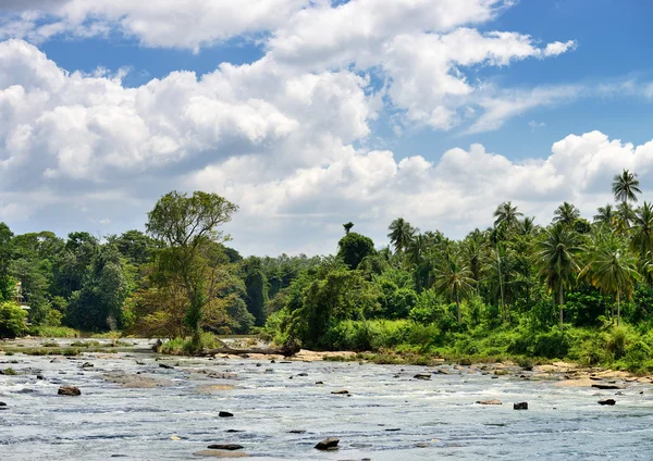 Río tropical — Foto de Stock