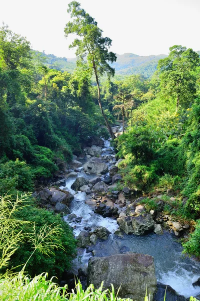 Hermoso río de montaña — Foto de Stock