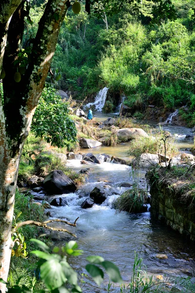 美しい山の川 — ストック写真