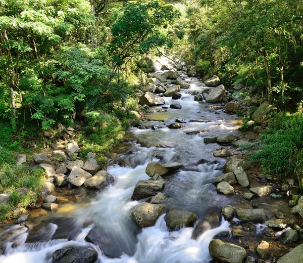 美しい山の川 — ストック写真