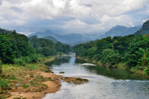 Rzeka tropikalny — Zdjęcie stockowe