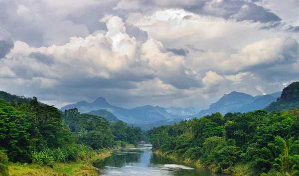 Río tropical — Foto de Stock