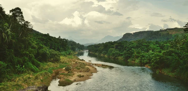 Tropiska floden — Stockfoto