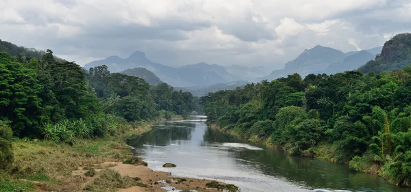 Rio tropical — Fotografia de Stock