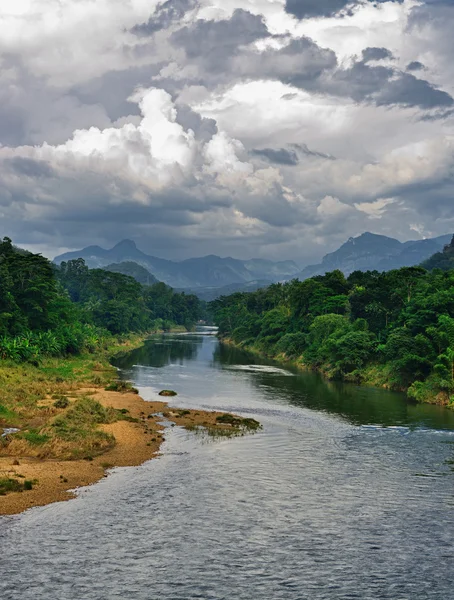 Río tropical — Foto de Stock