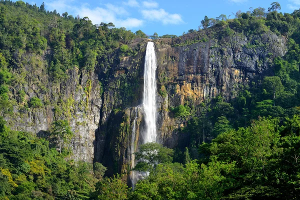 The waterfall — Stock Photo, Image