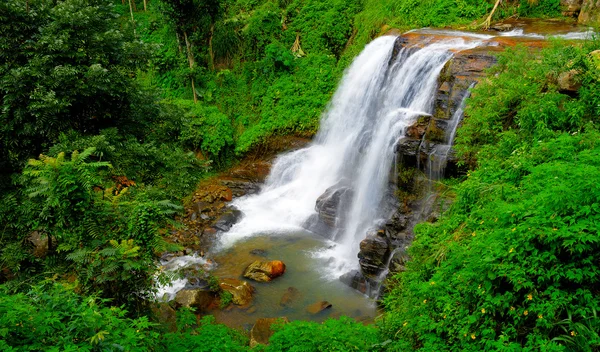 Der Wasserfall — Stockfoto