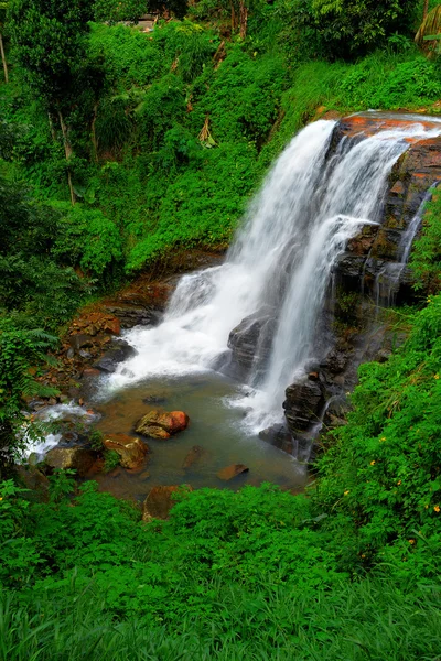 The waterfall — Stock Photo, Image