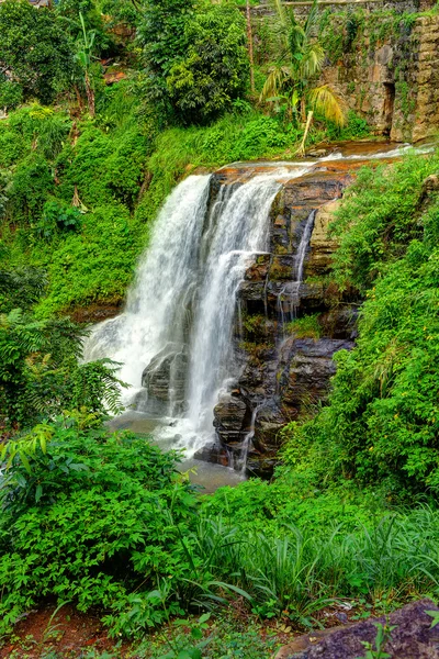 The waterfall — Stock Photo, Image