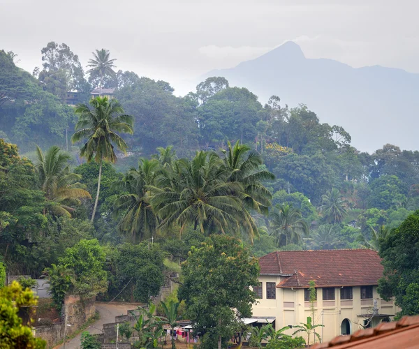 Casa en la selva — Foto de Stock