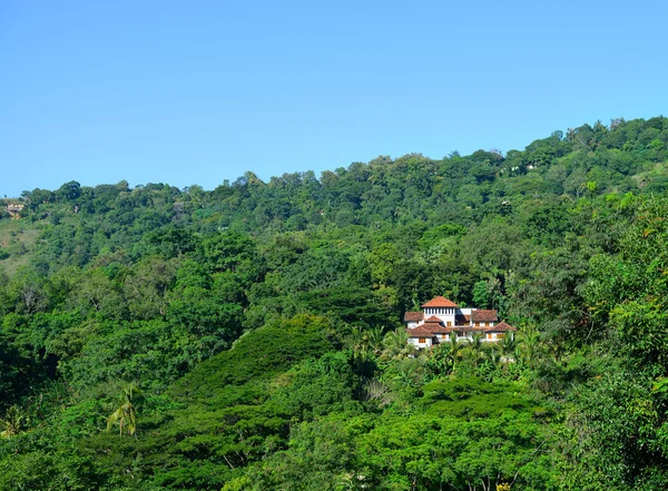 House in the jungle — Stock Photo, Image