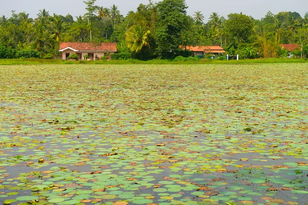 ஏரியில் உள்ள வீடு — ஸ்டாக் புகைப்படம்