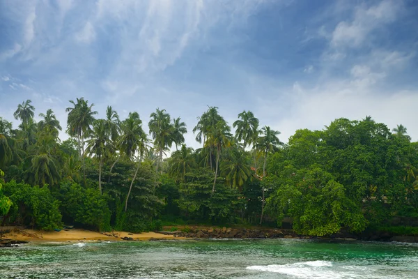 Costa del Océano Índico — Foto de Stock