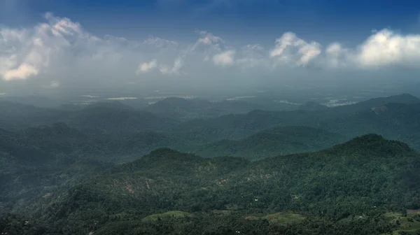 Montanhas cobertas de floresta selvagem — Fotografia de Stock