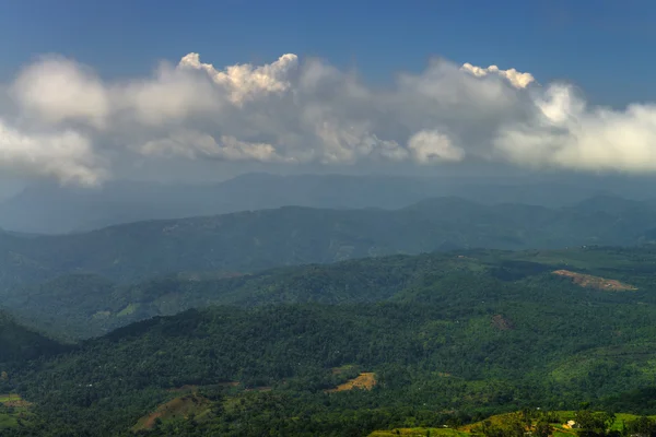 Montanhas cobertas de floresta selvagem — Fotografia de Stock