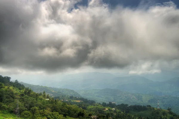 Montanhas cobertas de floresta selvagem — Fotografia de Stock