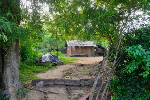 Бідне житло в джунглях — стокове фото