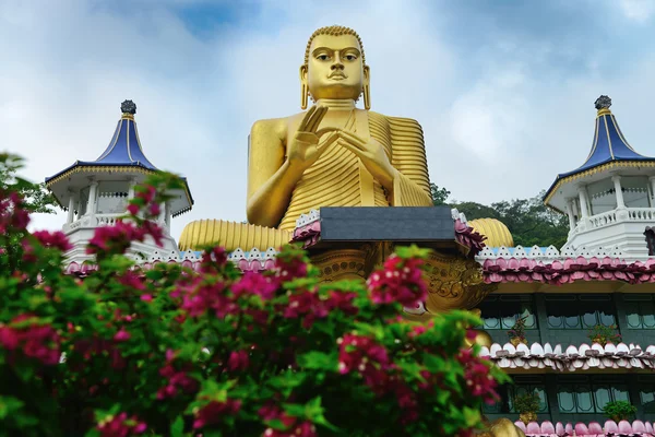 Staty av buddhahood med blomma förgrunden — Stockfoto