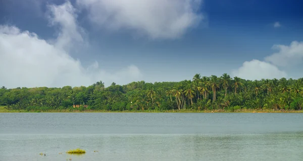 Lago con un bosque tropical — Foto de Stock