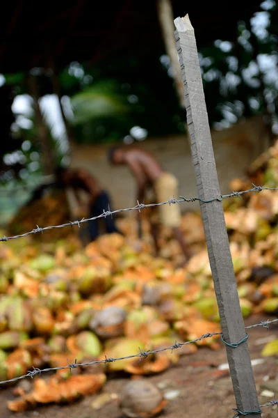 Slave labor Stock Image