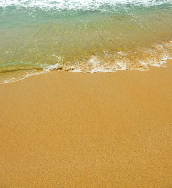 Costa oceânica — Fotografia de Stock