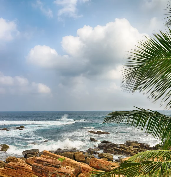 Kusten havet — Stockfoto