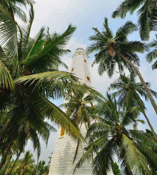 Fyren och palm tree — Stockfoto
