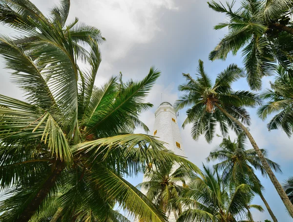 Farol e palmeira — Fotografia de Stock