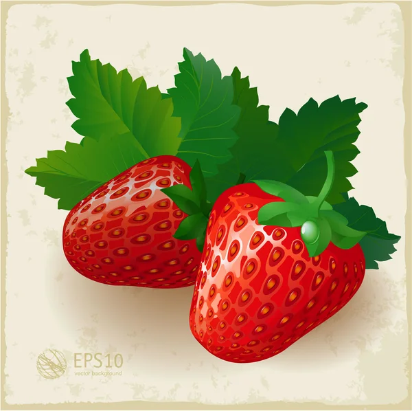草莓叶. — 图库矢量图片