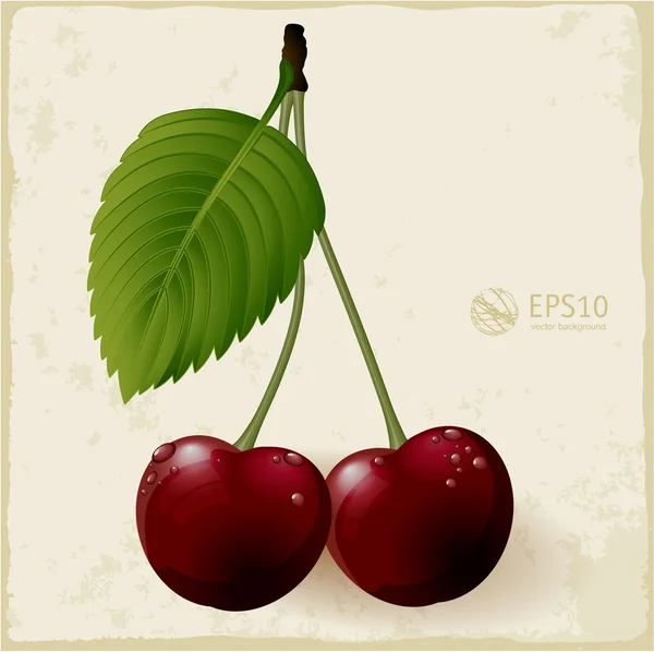 Cerises avec gouttes d'eau . — Image vectorielle