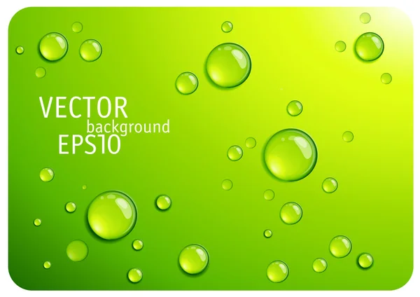 Clear green water drops. — Stock Vector