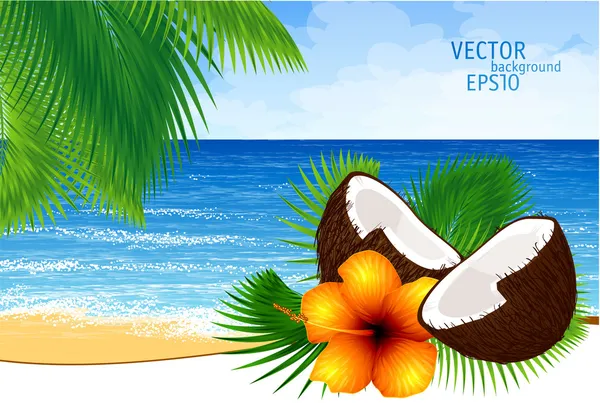 Vector background of paradise island — Stock Vector