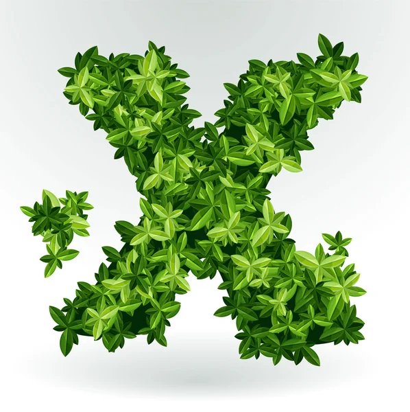 Letter X, green leaves summer vector alphabet. — Stock Vector