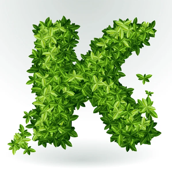 Levél k, zöld levelek nyári vektor ábécé. — Stock Vector