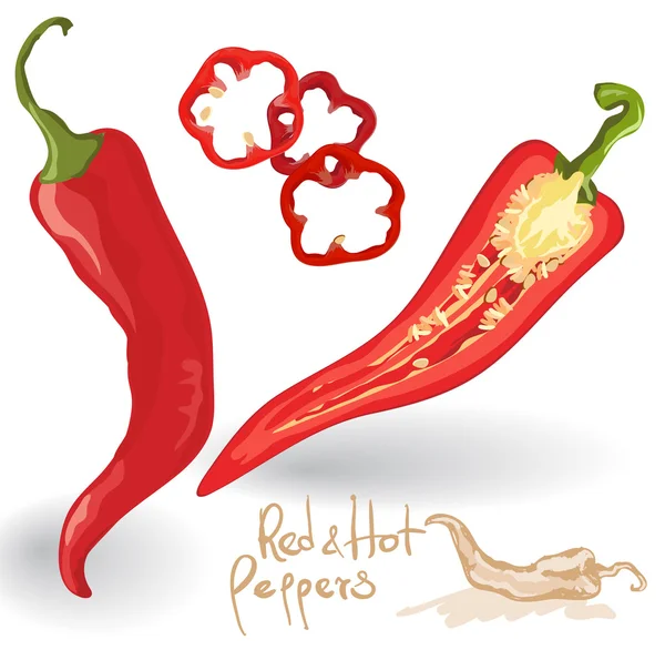 Vector red hot chili peppers on white. — Stock Vector