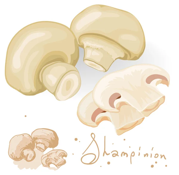 Φρέσκο champignon mushrums. — Διανυσματικό Αρχείο