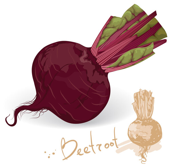 Fresh and sweet beetroot.