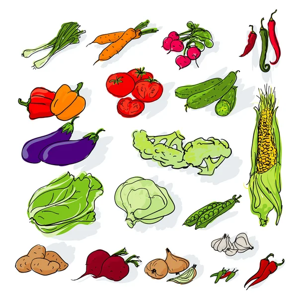 Handgezeichnetes Gemüse-Set. — Stockvektor