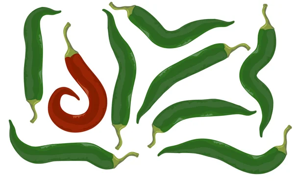 Röd och grön varm och kryddig chilipeppar . — Stock vektor