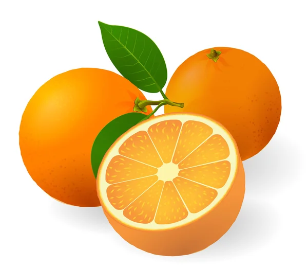 Dojrzałych pomarańczy z świeżych zielonych liści. — Wektor stockowy