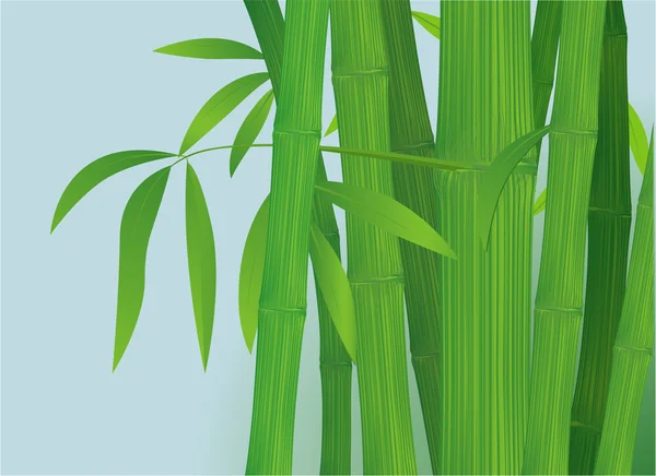 Gabarit en bambou . — Image vectorielle
