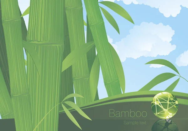 Bambus-Vorlage. — Stockvektor