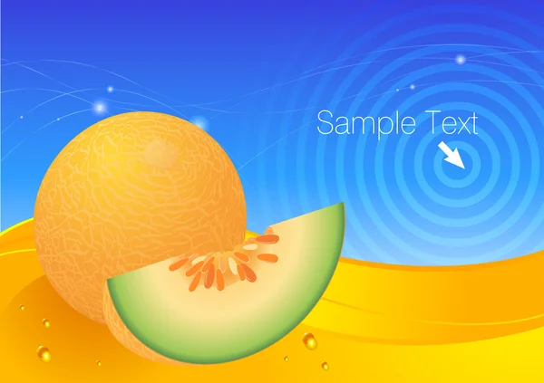 Melón fresco vector de fondo . — Vector de stock