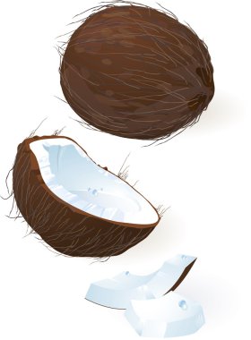 Hindistan cevizi.